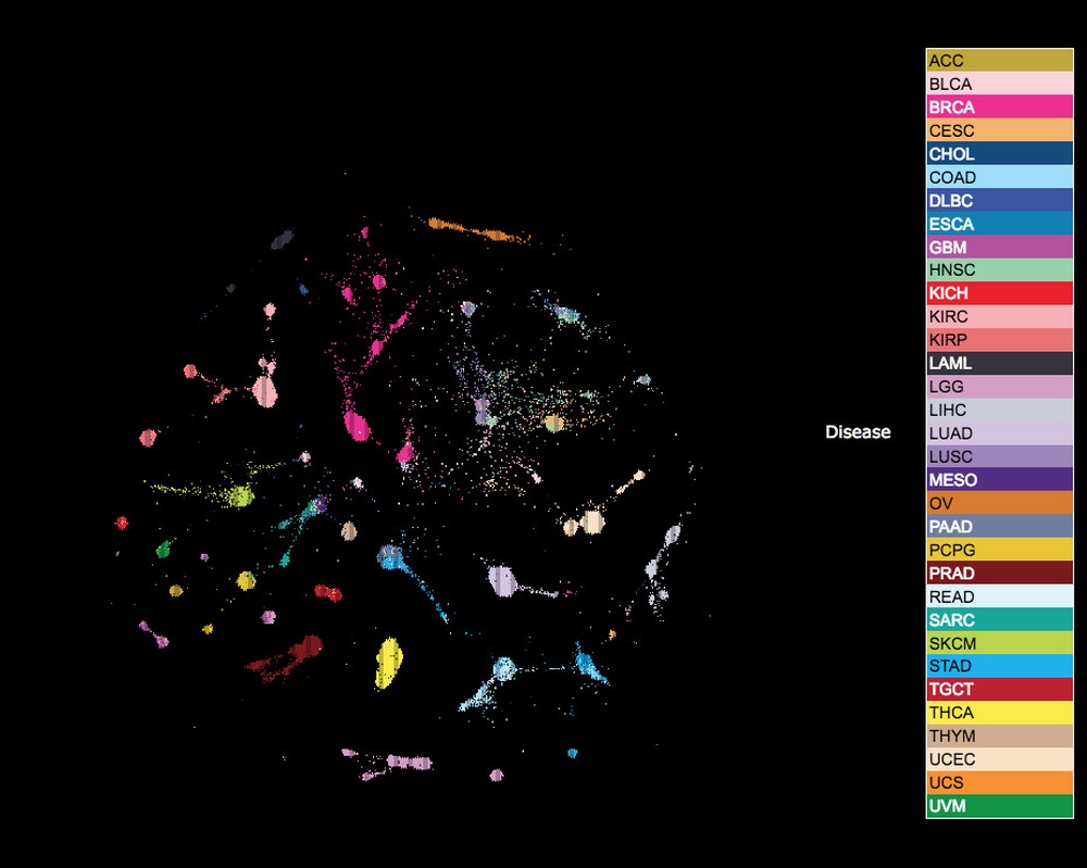 O 'mapa dos tumores' ajuda os cientistas a visualizar a origem celular de diferentes tipos de câncer (Foto: UC Santa Cruz Genomics Institute)